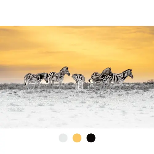 Etosha-namibia-zebra-sunrise